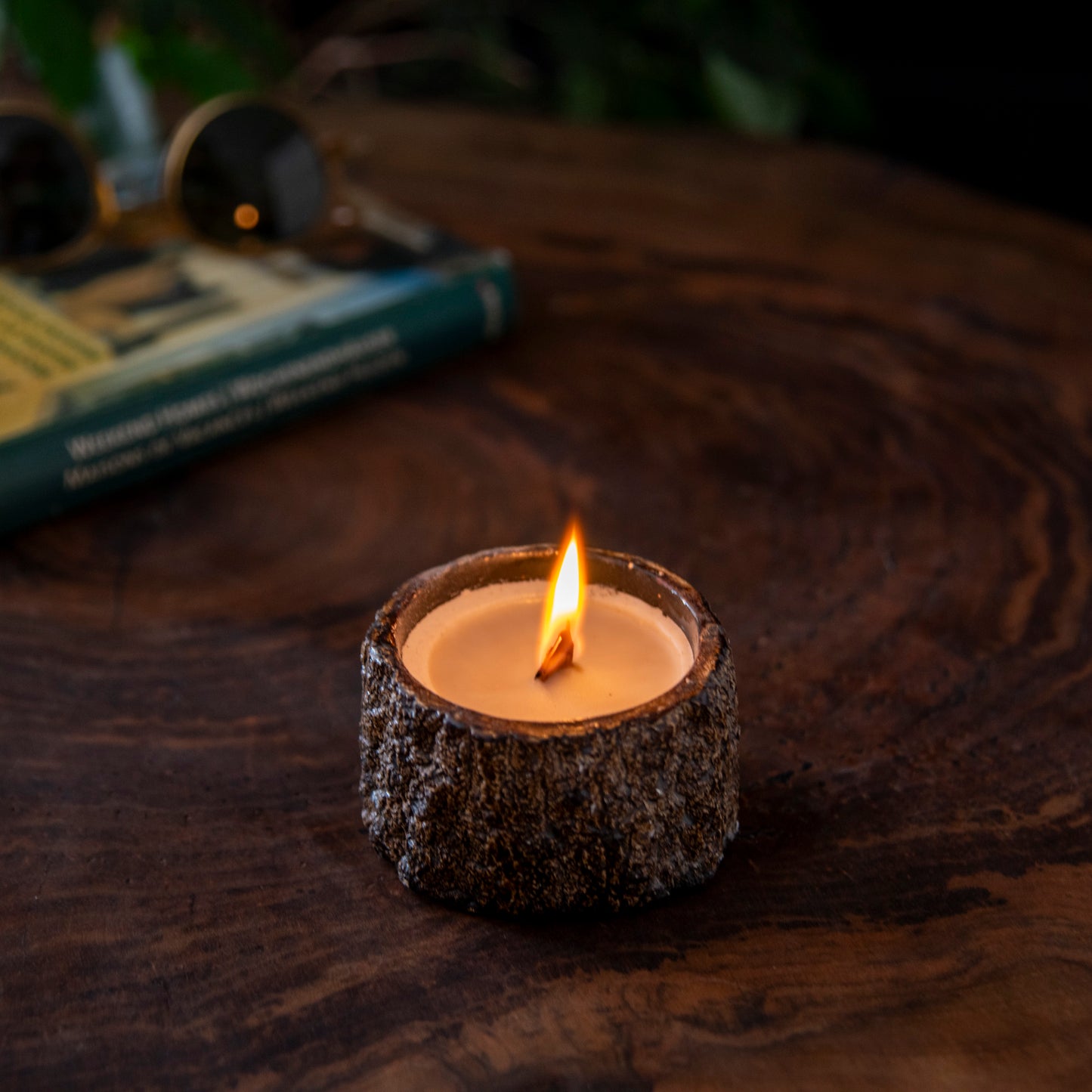 Woody Candle, Wood slice candle Vegan organic soy wax candle (waking) 4 units