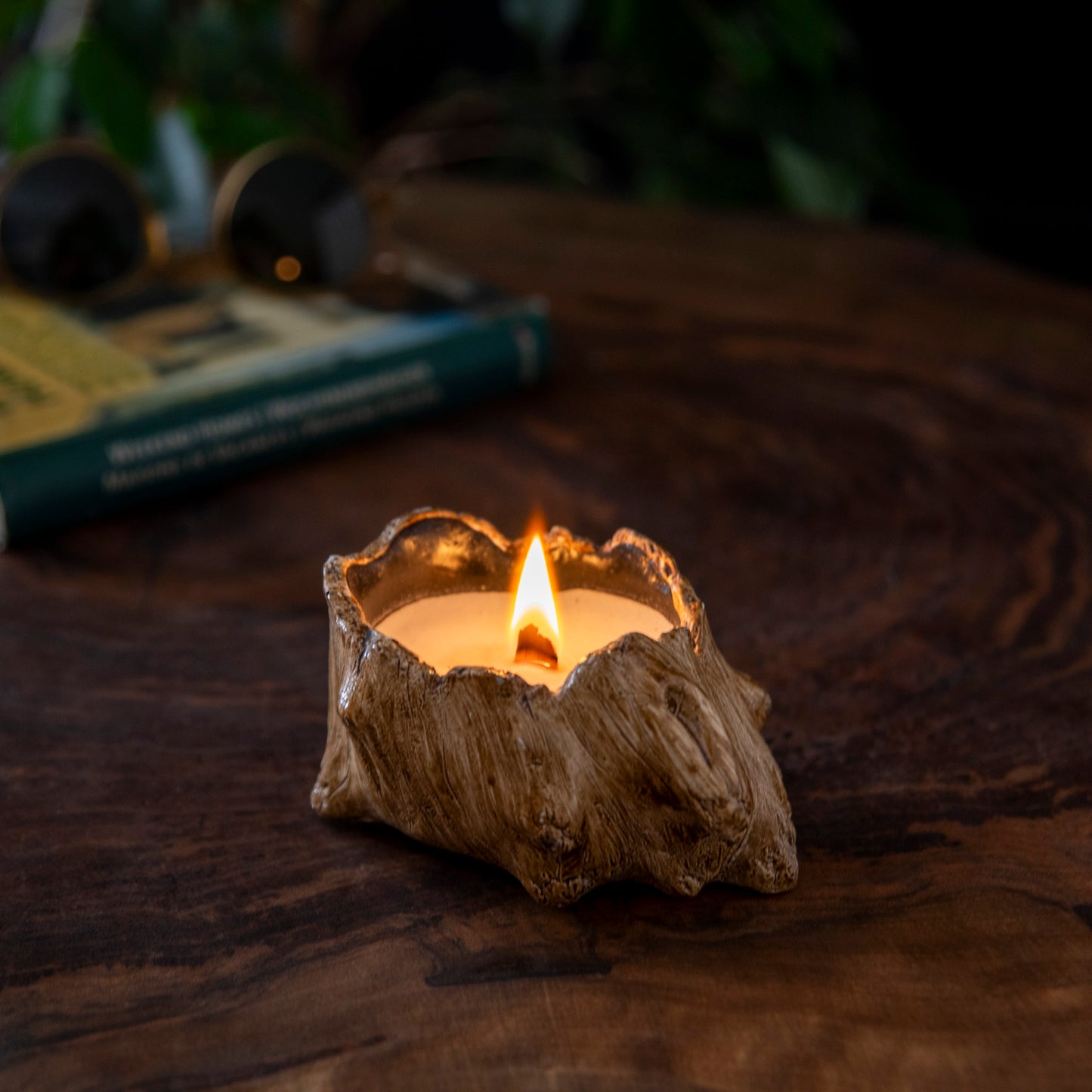 Wood slice candle, Vegan organic soy wax candle (waking) 4 units