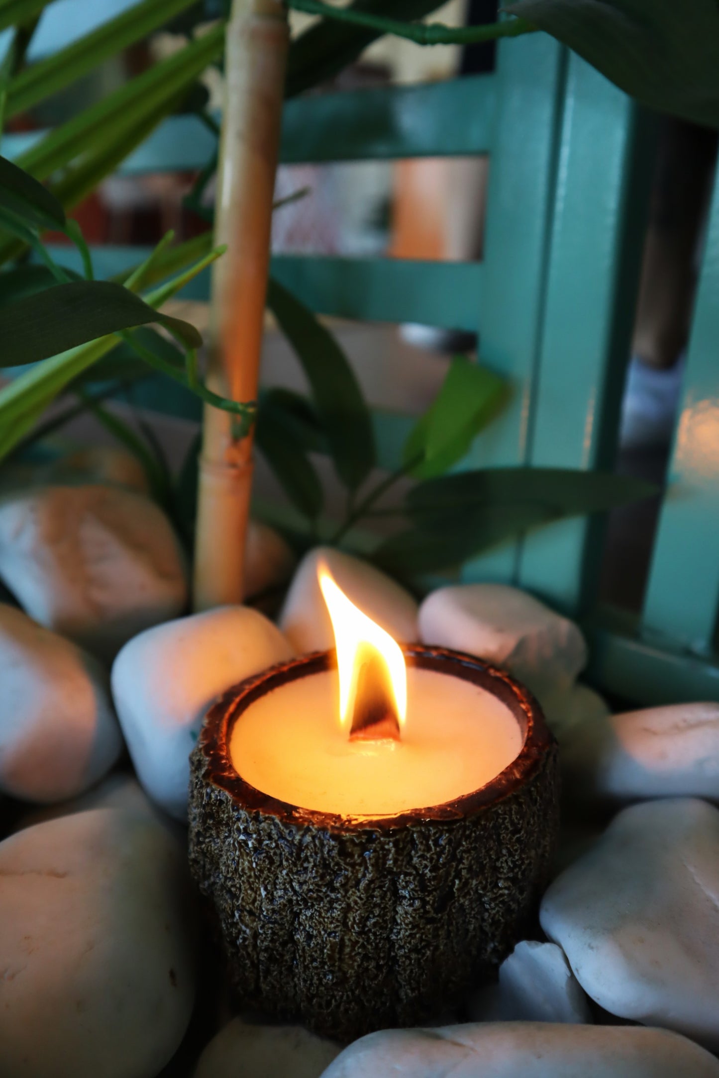 Woody Candle, Wood slice candle Vegan organic soy wax candle (waking) 4 units